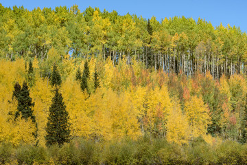 The San Juan Mountains of Colorado in Autumn