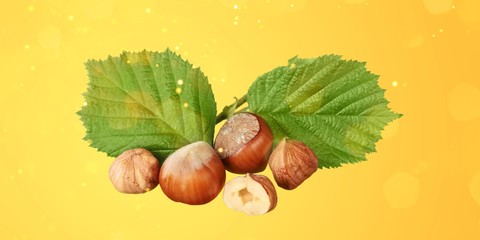 Hazelnuts Composition - Isolated