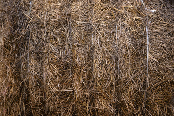 Hay close up
