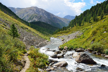 Russia, Republic of Altai, river Shabaga in summer