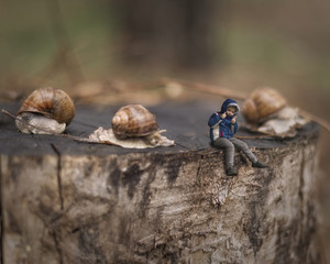 A small reduced boy is sitting on a stump.