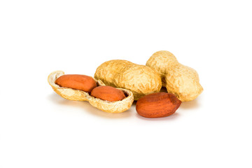 Peanuts. Two real whole nut with kernels in shell isolated on white background. Peanut macro close up. Full depth of field.