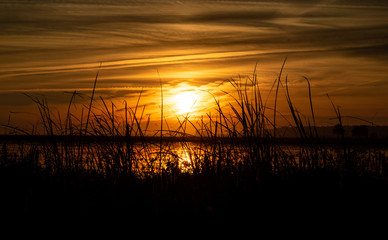 Blurred orange sunset behind tall grass