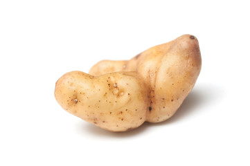 closeup of deformed potato on white background
