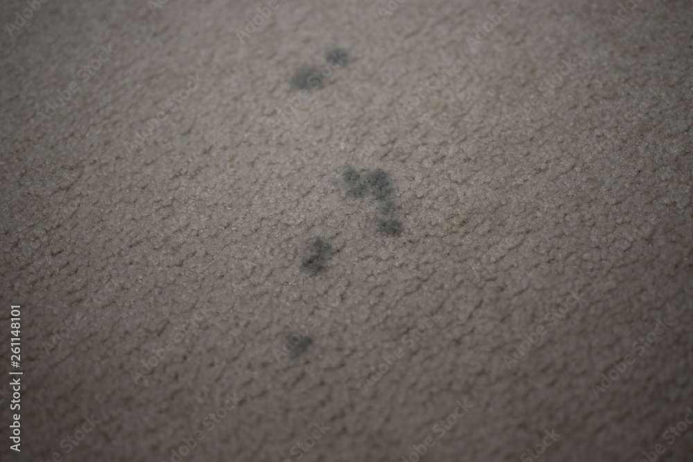 Wall mural Dirty carpet with black spots, close up.