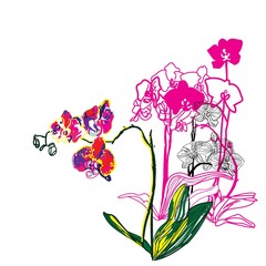 Phalaenopsis orchids. Stylish modern pattern with flowers. Pop art sketch.