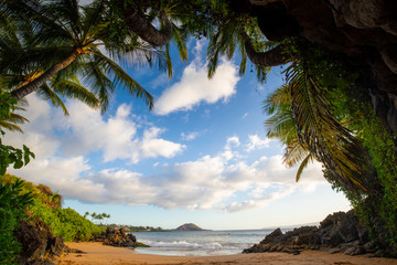 Maui Sunset beach cove  - obrazy, fototapety, plakaty