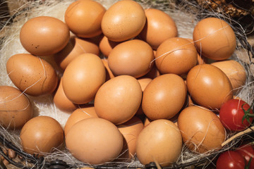 Eggs in basket on the organic farm of free chickens. Hickory hen's nest in the inner city barn
