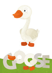 cartoon scene with happy goose on white background with name sign of animal - illustration for children