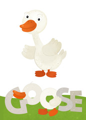 cartoon scene with happy goose on white background with name sign of animal - illustration for children