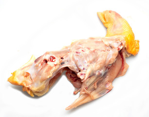 Chicken skeleton Fresh food and white background