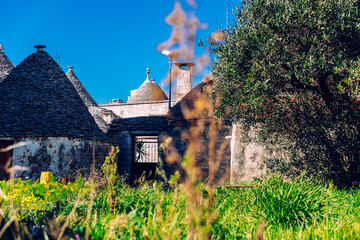 Backyard overlooking the trullis in Alberobello