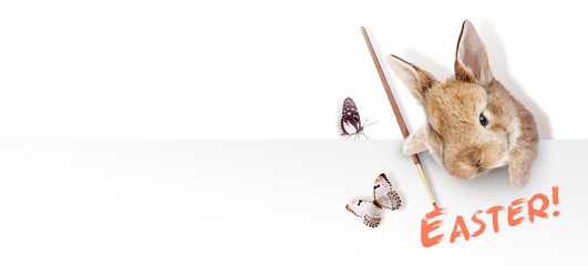 Ostern Kollage mit Osterhase