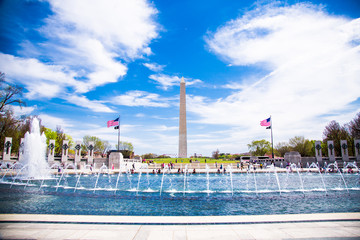Washington DC, bloom Sakura