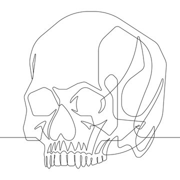 Human Skull One Continuous Line Vector Graphic Illustration 3/4 view