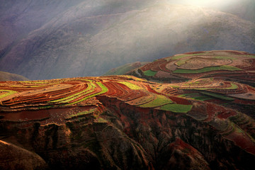 Dongchuan Red Soil, Colored Earth Terraces - Red Soil, Green Grass, Layered Terraces in Yunnan Province, China. Chinese Countryside, Agriculture, Exotic Unique Landscape. Farmland, Agriculture