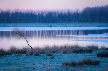 Fototapeta premium Nature