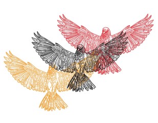 Fototapeta premium A bird with spread wings. Drawing manually in vintage style. Meditative coloring for children. Arrows, points, patterns, scales, strokes, wool. Bird, logo.