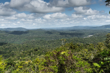 Fototapeta na wymiar Cairns, Australia - February 18, 2019: Wide view over green Kuranda green Rain Forest with its hills. Blue sky with dense white cloudscape.