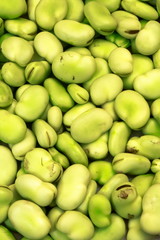 broad beans