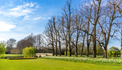 River Cam near Kings College in the city of Cambridge, United Kingdom and blooming flowers and green grass on the foreground