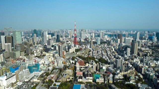 Aerial view of Tokyo city, Japan