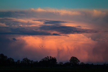 Cloud