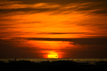 Playa de Cocos Nayarit  Atardecer 