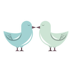 Cute birds kiss cartoon isolated