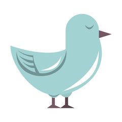 Dove bird cartoon isolated