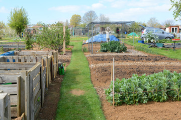 Community allotment space for local people to grow produce