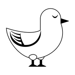 Dove bird cartoon isolated in black and white