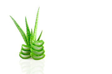 Slice Aloe Vera on white background.