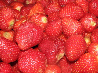 Fresas Frescas