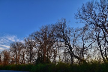 Dusk Sunset views through winter tree branches by Opryland along the Shelby Bottoms Greenway and Natural Area Cumberland River, Nashville, Tennessee. United States.