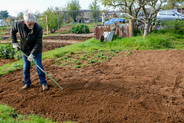 Man working outdoors digging vegetable patch