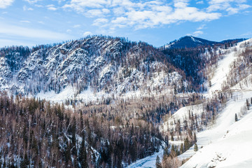 Snow Forest in Winter. The snow-covered Gongnaisi forest in winter