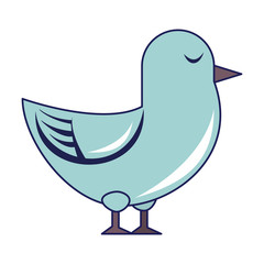 Dove bird cartoon isolated blue lines