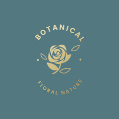 Botanical floral illustration