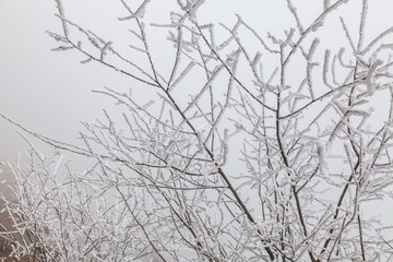 Frozen Winter Landscape in sichuan,China.