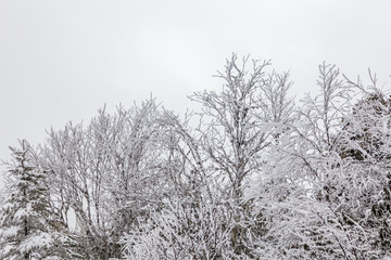 Frozen Winter Landscape in sichuan,China.