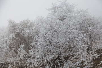 Frozen Winter Landscape in sichuan,China.