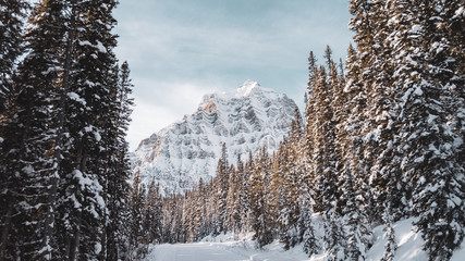 winter mountain landscape