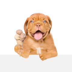 Mastiff puppy with ice cream above empty board. isolated on white background