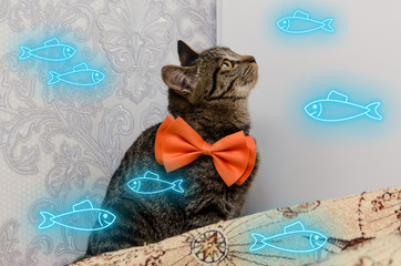 tabby cat with bow at his neck looks at neon glow fishes of blue color swimming around him