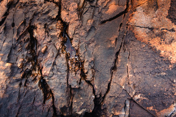 Stone background of the coast in India