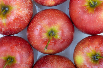 Apple on white background. Selective focus