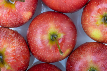 Apple on white background. Selective focus