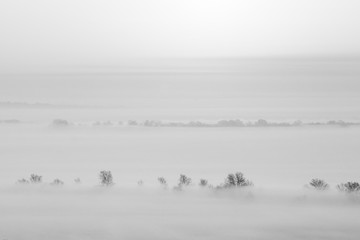 Naklejka premium Minimalistic picture of the landscape. Fog spreads over the ground. Beautiful trees in a line. Black and white frame.