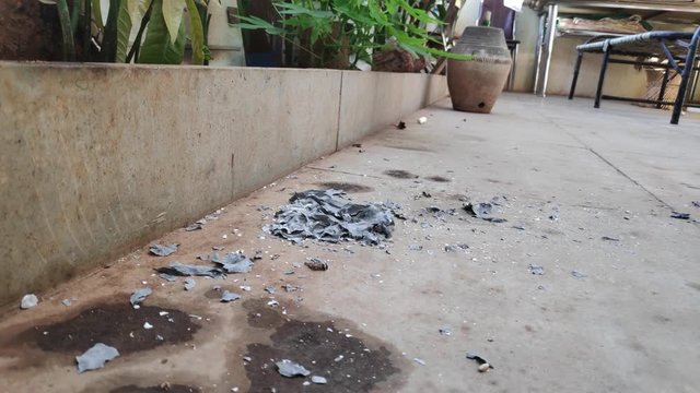 Paper ashes flying because of wind